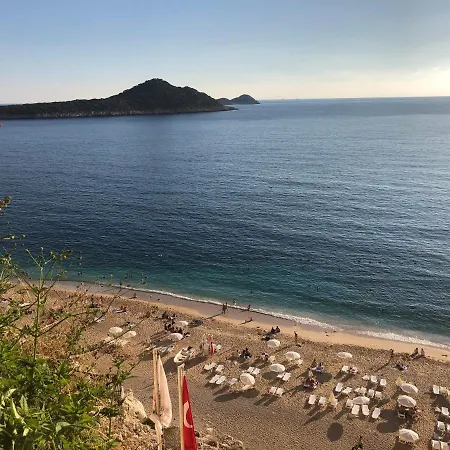 Eco Sardunya Kalkan