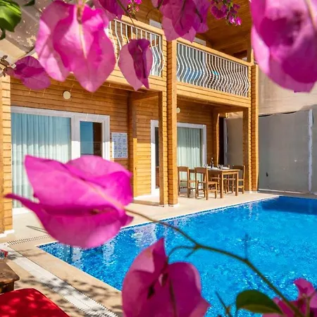 Eco Sardunya Villa *
