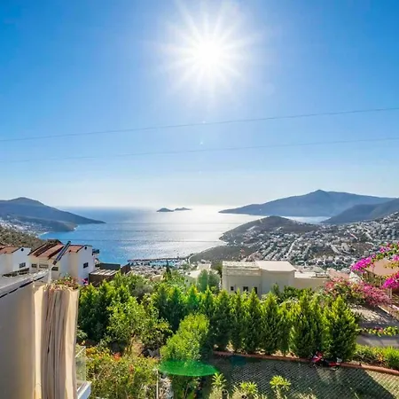 Eco Sardunya Kalkan