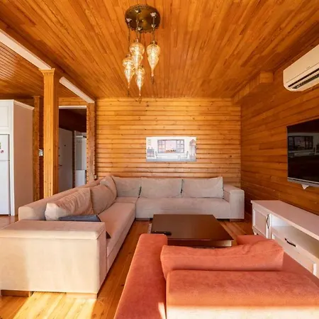 Eco Sardunya * Kalkan